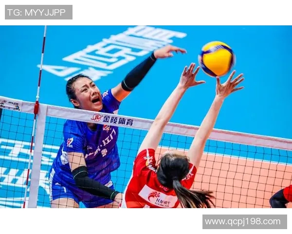 武汉排球队的转型之路与未来发展趋势深度解析