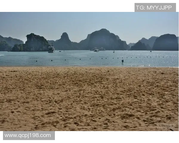 2019年泰国与越南足球对决精彩回顾及比分分析